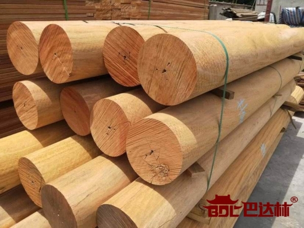 非洲菠萝格